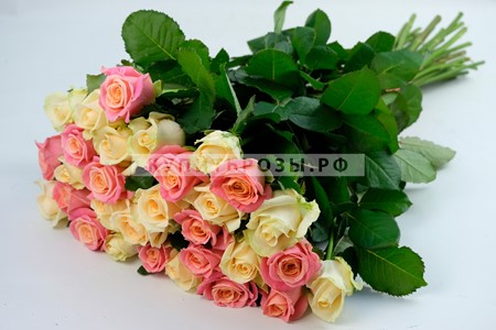 Букет роз Сеньорита купить в Москве недорого